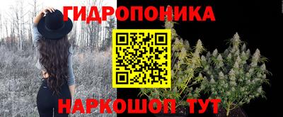 мдпв Лесосибирск
