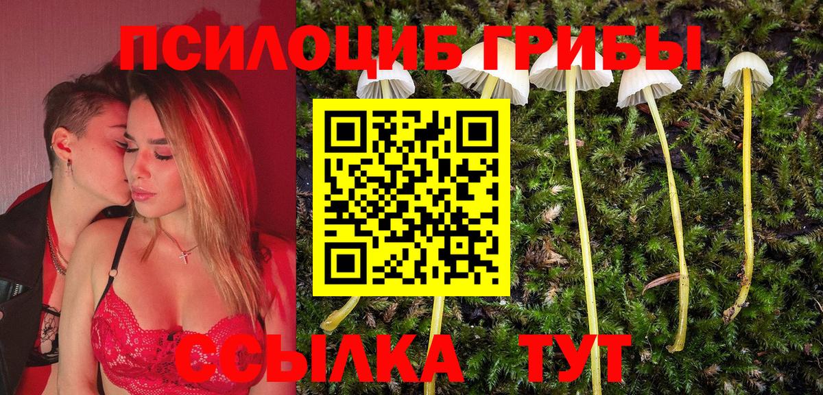Сызрань  Галлюциногенные грибы ЛСД  Вход с VPN 