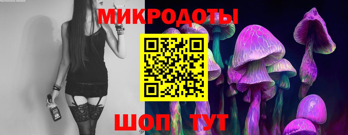 Псилоцибиновые грибы мухоморы Сызрань